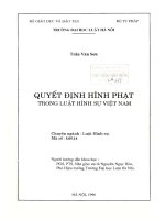 Luận án thạc sĩ Luật học: Quyết định hình phạt trong luật hình sự Việt Nam