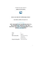 tiểu luận mức độ hiệu quả kinh doanh củablackrouge trong cuộc đuathương mại giữa tiktokshop và gãkhổng lồ shopee