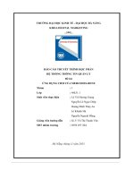 tiểu luận báo cáo thuyết trình học phầnhệ thống thông tin quản lý đề tài ứng dụng crm của mercedes benz