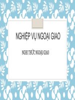 Tiểu luận - nghiệp vụ ngoại giao - đề tài - NGHI THỨC NGOẠI GIAO