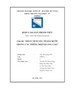 tiểu luận chủ đề phân tích yếu tố hài hước trong các thông điệp quảng cáo