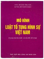 Mô hình luật Tố tụng hình sự Việt Nam - Hoàng Thị Sơn, Bùi Kiên Điện