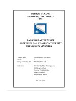 tiểu luận báo cáo bài tập nhóm giới thiệu sản phẩm sữa tươi tiệttrùng 100 vinamilk