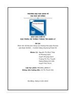 tiểu luận phân tích dữ liệu bán hàng của thương hiệu giày ananasgiai đoạn 6 2022 11 2022 bằng ứng dụng power bi