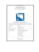 tiểu luận môn hệ thống thông tin quản lý đề tài phân tích hoạt động kinh doanh của sushi xiên