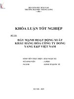 đẩy mạnh hoạt động xuất khẩu hàng hóa công ty dongyang e p việt nam