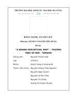 tiểu luận đề tài a brand perceptual map thươnghiệu xe máy yamaha