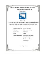 tiểu luận chủ đề bản đồ nhận thức người tiêu dùng về thương hiệu xe máy honda motor vietnam