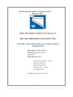 tiểu luận chủ đề 4 hệ thống quản lý hoạt động marketing