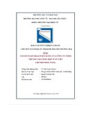 tiểu luận xây dựng kế hoạch bán hàng của công ty tnhh thương mại tổng hợp tuấn việt chi nhánh đà nẵng