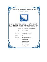 tiểu luận báo cáo bản đề xuất dự án phát triểnsản phẩm mới cốc đa năng