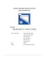 tiểu luận chủ đề phụ kiện điện tử chuột v1 vertex