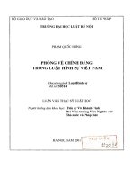 Luận văn thạc sĩ Luật học: Phòng vệ chính đáng trong Luật Hình sự Việt Nam