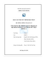 tiểu luận ứng dụng hệ thống quản trị quanhệ khách hàng tại thẩm mỹ việnđông á
