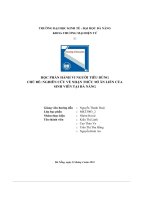 tiểu luận chủ đề nghiên cứu về nhận thức mì ăn liền củasinh viên tại đà nẵng