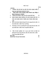 Tiểu luận cao học lịch sử Đảng - Đảng Cộng sản Việt Nam hoạch định đường lối cách mạng dân tộc dân chủ nhân dân trong điều kiện mới của cách mạng miền Nam”