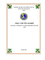 Thực trạng kế toán vốn bằng tiền và các khoản thanh toán tại công ty tnhh Đầu tư và phát triển bền vững việt nam