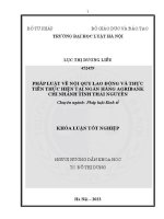 Khoá luận tốt nghiệp: Pháp luật về nội quy lao động và thực tiễn thực hiện tại Ngân hàng Agribank chi nhánh tỉnh Thái Nguyên