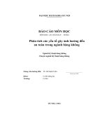 Báo Cáo Môn Học Phân Tích Các Yếu Tố Gây Ảnh Hưởng Đến An Toàn Trong Ngành Hàng Không.pdf