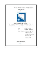 báo cáo bài tập nhóm đề tài phân tích văn hóa công ty apple