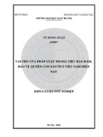 Khoá luận tốt nghiệp: Vai trò của pháp luật trong việc bảo đảm, bảo vệ quyền con người ở Việt Nam hiện nay