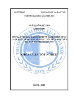 Khoá luận tốt nghiệp: Xử phạt vi phạm hành chính về hành nghề dược - Quy định pháp luật và thực tiễn thi hành trên địa bàn thành phố Hà Nội