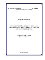 Luận văn thạc sĩ Luật học: Pháp luật về hợp đồng xây dựng - kinh doanh - chuyển giao (BOT) trong xây dựng hạ tầng giao thông đường bộ ở Việt Nam