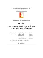 bài tập lớn phân tích kinh doanh đề tài phân tích kinh doanh công ty cổ phần nhựa thiếu niên tiền phong