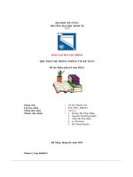 báo cáo bài tập nhóm học phần hệ thông thông tin kế toán đề tài phần mềm kế toán misa