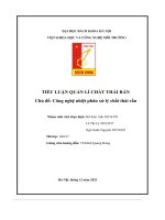 tiểu luận quản lí chất thải rắn công nghệ nhiệt phân xử lý chất thải rắn