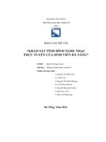 báo cáo đề tài khảo sát tình hình nghe nhạc trực tuyến của sinh viên đà nẵng