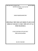 Luận văn thạc sĩ Luật học: Hình phạt tiền theo quy định của Bộ luật Hình sự năm 2015 và thực tiễn xét xử tại tỉnh Thanh Hoá