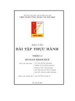 báo cáo bài tập thực hành nhóm 11 human resource