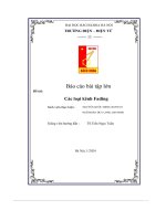 báo cáo bài tập lớn đề tài các loại kênh fading