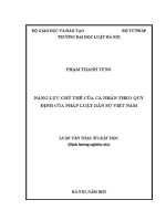 Luận văn thạc sĩ Luật học: Năng lực chủ thể của cá nhân theo quy định của pháp luật dân sự Việt Nam