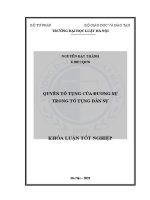 Khoá luận tốt nghiệp: Quyền tố tụng của đương sự trong tố tụng dân sự