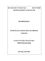 Luận văn thạc sĩ Luật học: Tội buôn lậu trong Bộ luật Hình sự năm 2015