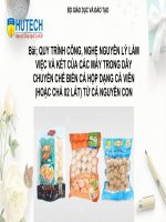 quy trình công nghệ nguyên lý làm việc và kết của các máy trong dây chuyền chế biến cá hộp dạng cá viên hoặc chả 02 lát từ cá nguyên con