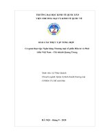 Báo cáo thực tập tổng hợp: Cơ quan thực tập: Ngân hàng Thương mại cổ phần Đầu tư và Phát triển Việt Nam – Chi nhánh Quang Trung