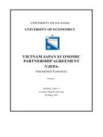 vietnam japan economicpartnership agreement vjepa international economics