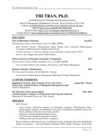 DR THI TRAN CURRICULUM VITAE