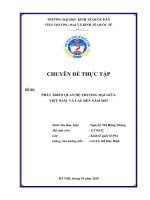 Chuyên đề thực tập: Phát triển quan hệ thương mại giữa Việt Nam - UAE đến năm 2025