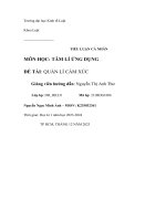 tiểu luận cá nhân môn học tâm lí ứng dụng đề tài quản lí cảm xúc