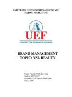 brand management topic ysl beauty