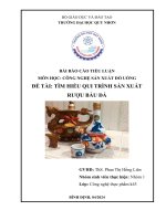 tiểu luận môn học công nghệ sản xuất đồ uống đề tài tìm hiểu qui trình sản xuất rượu bàu đá