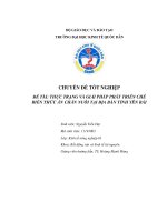 Chuyên đề tốt nghiệp: Thực trạng và giải pháp phát triển chế biến thức ăn chăn nuôi tại địa bàn tỉnh yên bái