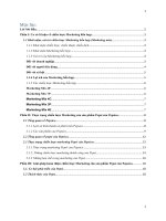 Phân tích những thành công và hạn chế của marketing hỗn hợp của nhãn hiệu Pepsi của Pepsico