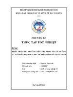 Chuyên đề thực tập tốt nghiệp: Phát triển thị trường tiêu thụ nông sản của Công ty Cổ phần Kinh doanh Chế biến Nông sản Bảo Minh