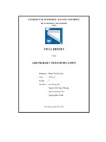 final report topic air freight transportation