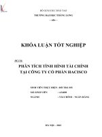 phân tích tình hình tài chính tại công ty cổ phần hacisco